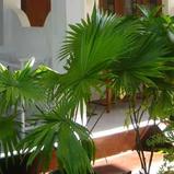 BEACH BUNGALOW Guest House