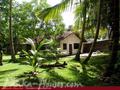 SUN BIRDS House