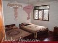 SUN BIRDS House