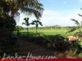 WELAGEDASA LAKE VIEW Guest House
