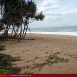 Land For Sale near ocean (L4)
