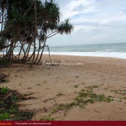 Land For Sale near ocean (L4)