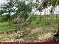 Land For Sale near ocean (L4)
