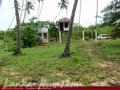 Land For Sale near ocean (L4)