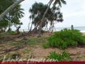 Land For Sale near ocean (L4)