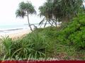 Land For Sale near ocean (L4)