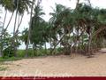 Land For Sale near ocean (L4)