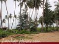 Land For Sale near ocean (L4)