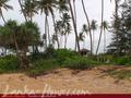 Land For Sale near ocean (L4)