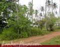 Land For Sale near ocean (L4)