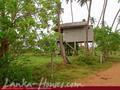 Land For Sale near ocean (L4)