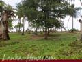 Land For Sale near ocean (L4)