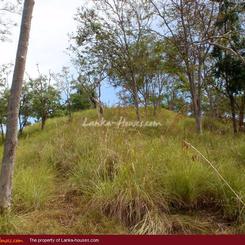 Land For Sale in the mountain area