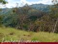 Land For Sale in the mountain area