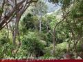 Land For Sale in the mountain area