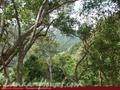Land For Sale in the mountain area