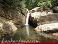Land For Sale in the mountain area