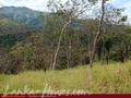 Land For Sale in the mountain area
