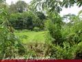 Land For Sale in the mountain area