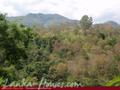 Land For Sale in the mountain area