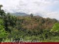 Land For Sale in the mountain area