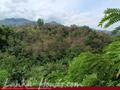 Land For Sale in the mountain area