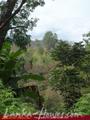 Land For Sale in the mountain area