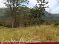 Land For Sale in the mountain area