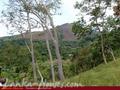 Land For Sale in the mountain area