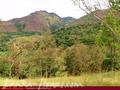 Land For Sale in the mountain area