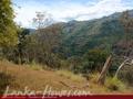 Land For Sale in the mountain area