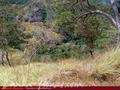 Land For Sale in the mountain area
