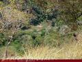 Land For Sale in the mountain area
