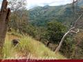 Land For Sale in the mountain area