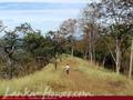 Land For Sale in the mountain area