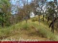 Land For Sale in the mountain area