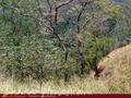 Land For Sale in the mountain area