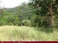 Land For Sale in the mountain area