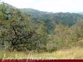 Land For Sale in the mountain area