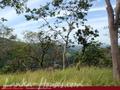 Land For Sale in the mountain area