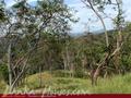 Land For Sale in the mountain area