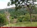 Land For Sale in the mountain area