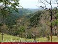 Land For Sale in the mountain area