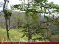 Land For Sale in the mountain area