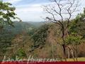 Land For Sale in the mountain area