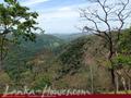 Land For Sale in the mountain area