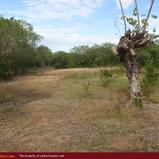 Land between Yalla Park and Indian Ocean
