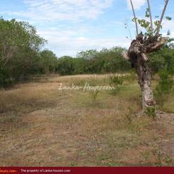 Land between Yalla Park and Indian Ocean