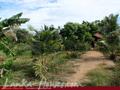 Land between Yalla Park and Indian Ocean