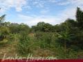 Land between Yalla Park and Indian Ocean
